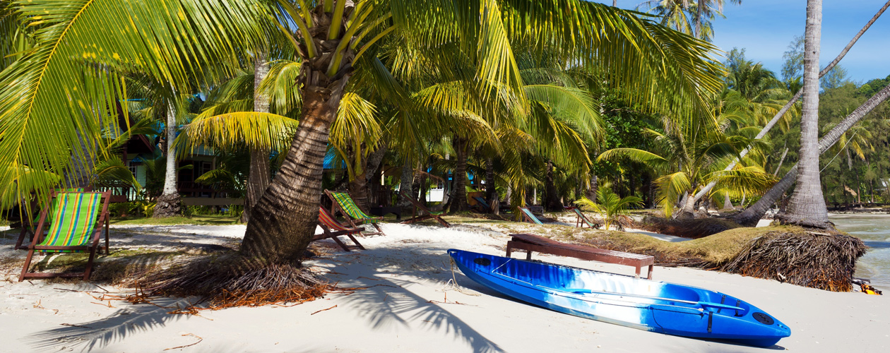 Caribbean Yacht Charters