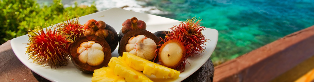 Caribbean Yacht Charters